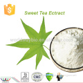 2016 Natural High-Potency Sweeteners Chinese blackberry Extract, 75% Rubusoside Sweet Tea Extract, Sweet tea polyphenols